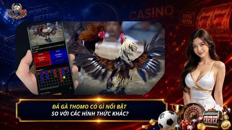 Đá gà Thomo có gì nổi bật so với các hình thức khác?